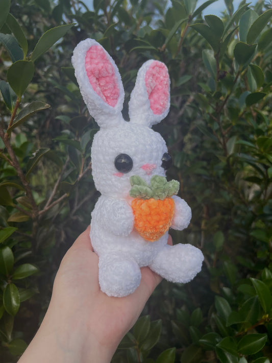 Easter bunny 🐇🥕